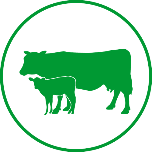Мясное хозяйство